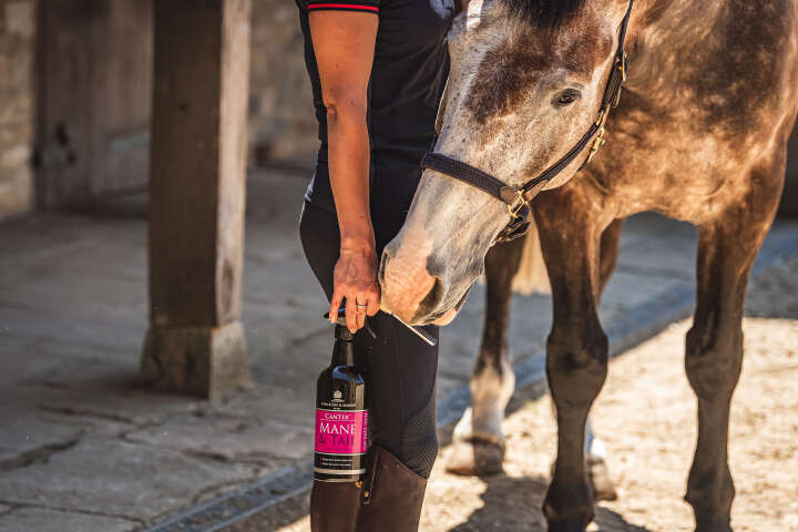 CARR & DAY & MARTIN Canter Mane & Tail Conditioner Spray